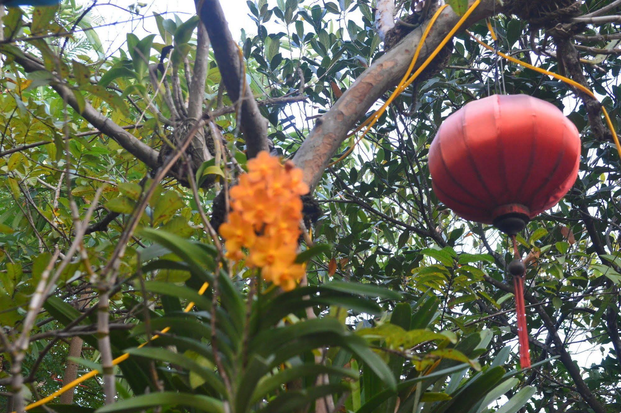 The Hoi An Orchid Garden Villas Esterno foto